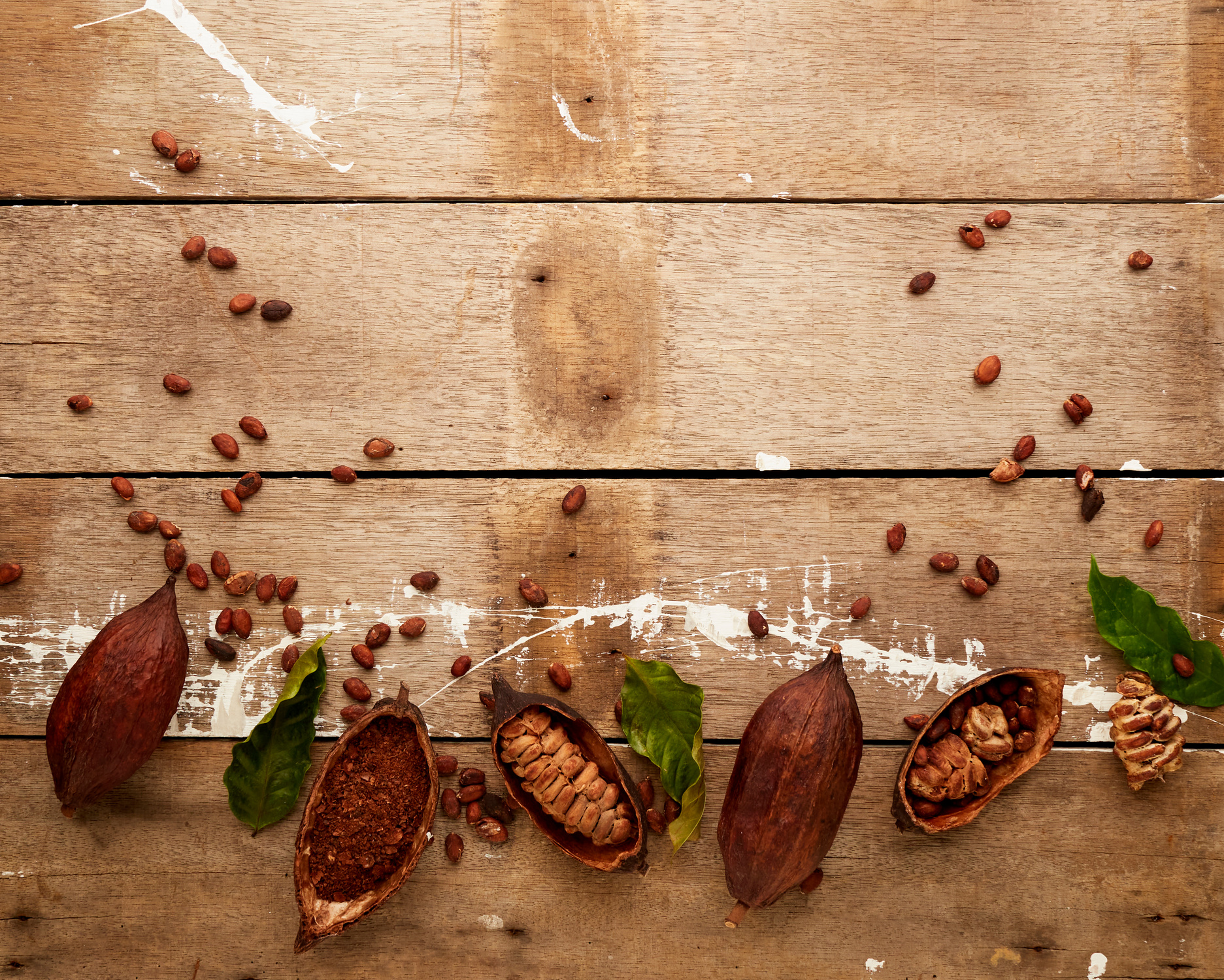 Cocoa pods and cocoa beans, Cocoa powder ingredients